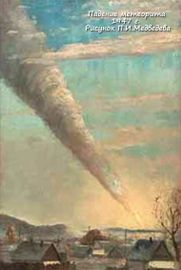 Метеорит Сихотэ-Алинский