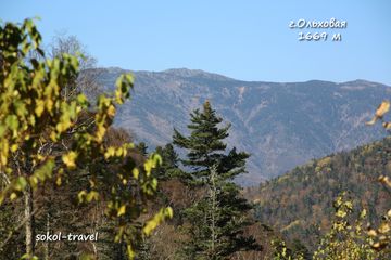 Гора Ольховая