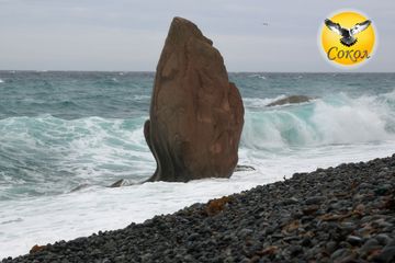 Бухта Тасовая (Тусовая)