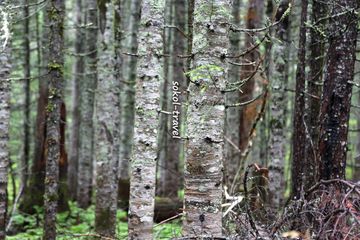 Амгу (река, поселок)