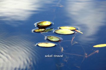 Озеро Заря (бухта Заря)